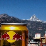 Drinks with lunch - Red Bull gives you wings!