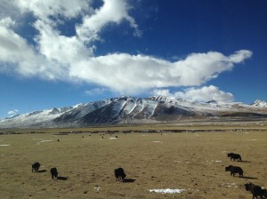 Approaching 5000m on the World's highest train journey