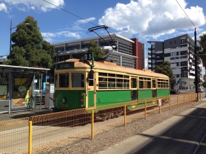 Melbourne's famous old trams