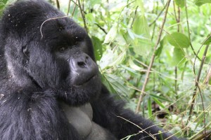 One of the most amazing hours of our lives.