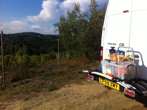Snacks and grapes...